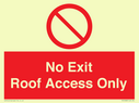 no-exitroof-access-only~